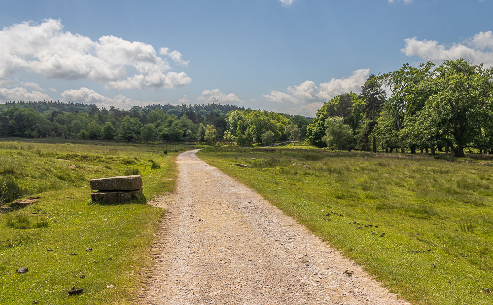 Longshaw Estate Longshaw Estate